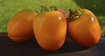 Tomeľ (kaki) 18 kg - Cena 53 €