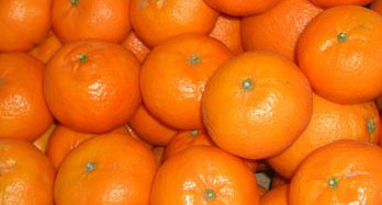 Mandarínky Clementina 12 kg - Cena 44 €