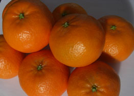 Kúpte mandarínky - Valencia mandarins online