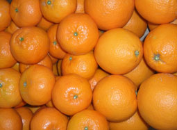 Kúpte debničku zmiešaného ovocia - Valencia oranges and mandarins online
