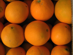 Kúpte pomaranče online - Valencia oranges online