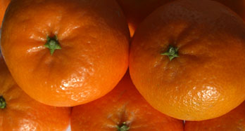 Mandarínky Hernandina 12 kg - Cena 44 €
