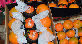 45 pomarančov a 28 mandarínok Gourmet - Cena 60 €